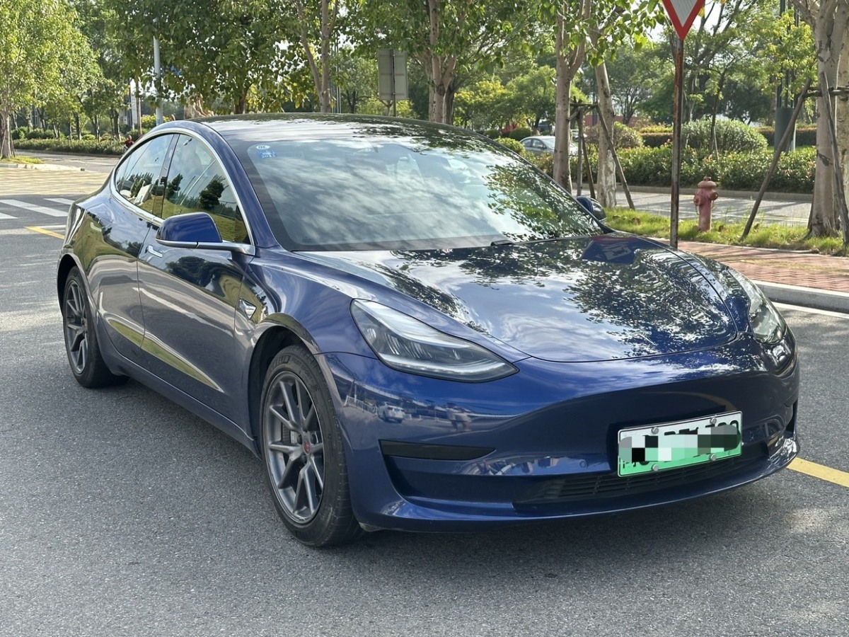 特斯拉 Model 3  2019款 標(biāo)準(zhǔn)續(xù)航后驅(qū)升級版圖片