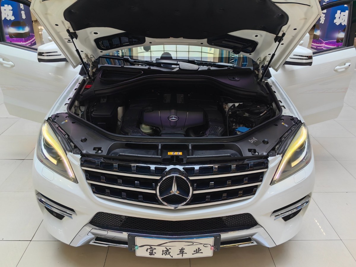 2014年6月奔馳 奔馳M級  2014款 ML 320 4MATIC