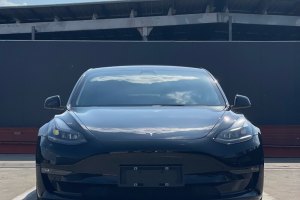 Model 3 特斯拉 Performance高性能全轮驱动版