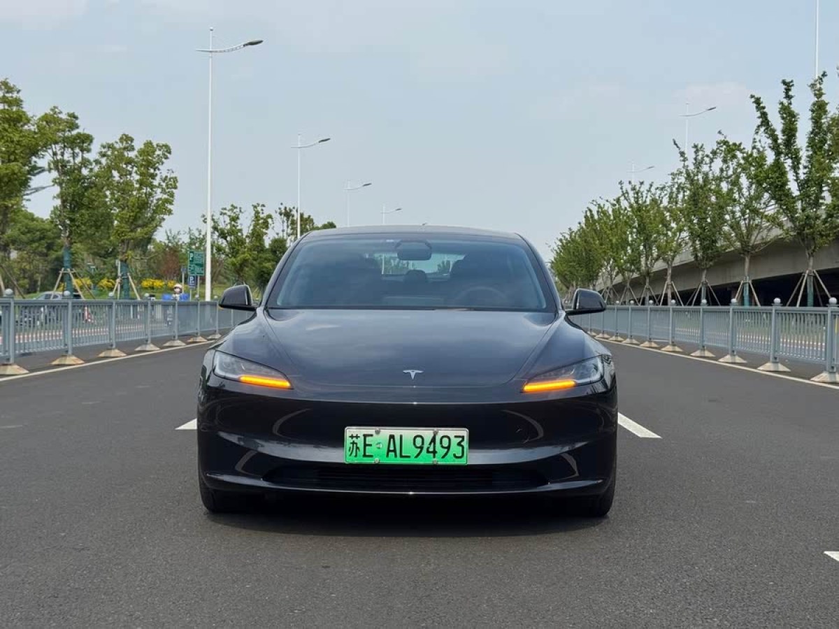 特斯拉 Model 3  2019款 長續(xù)航全輪驅(qū)動版圖片