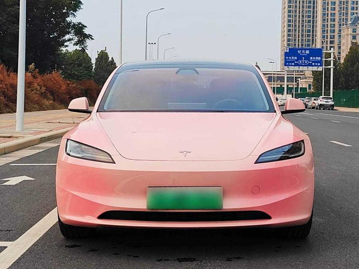 特斯拉 Model 3  2023款 后輪驅(qū)動(dòng)版圖片