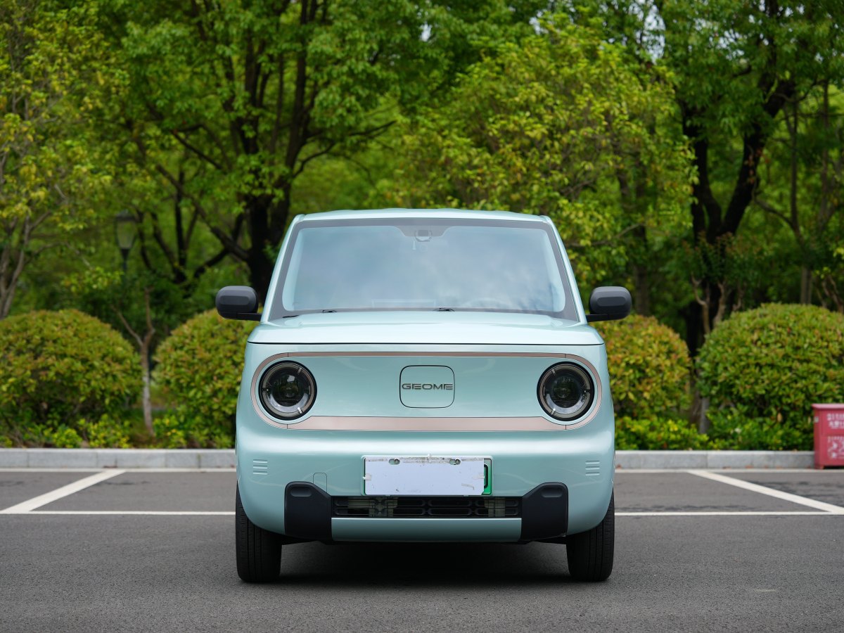 2023年6月吉利 熊貓mini  2023款 200km 靈動熊
