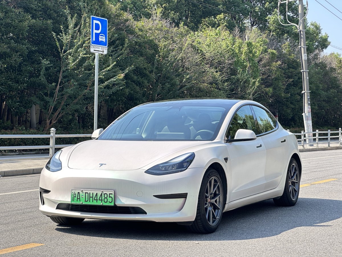 特斯拉 Model Y  2021款 標(biāo)準(zhǔn)續(xù)航后驅(qū)升級版 3D6圖片